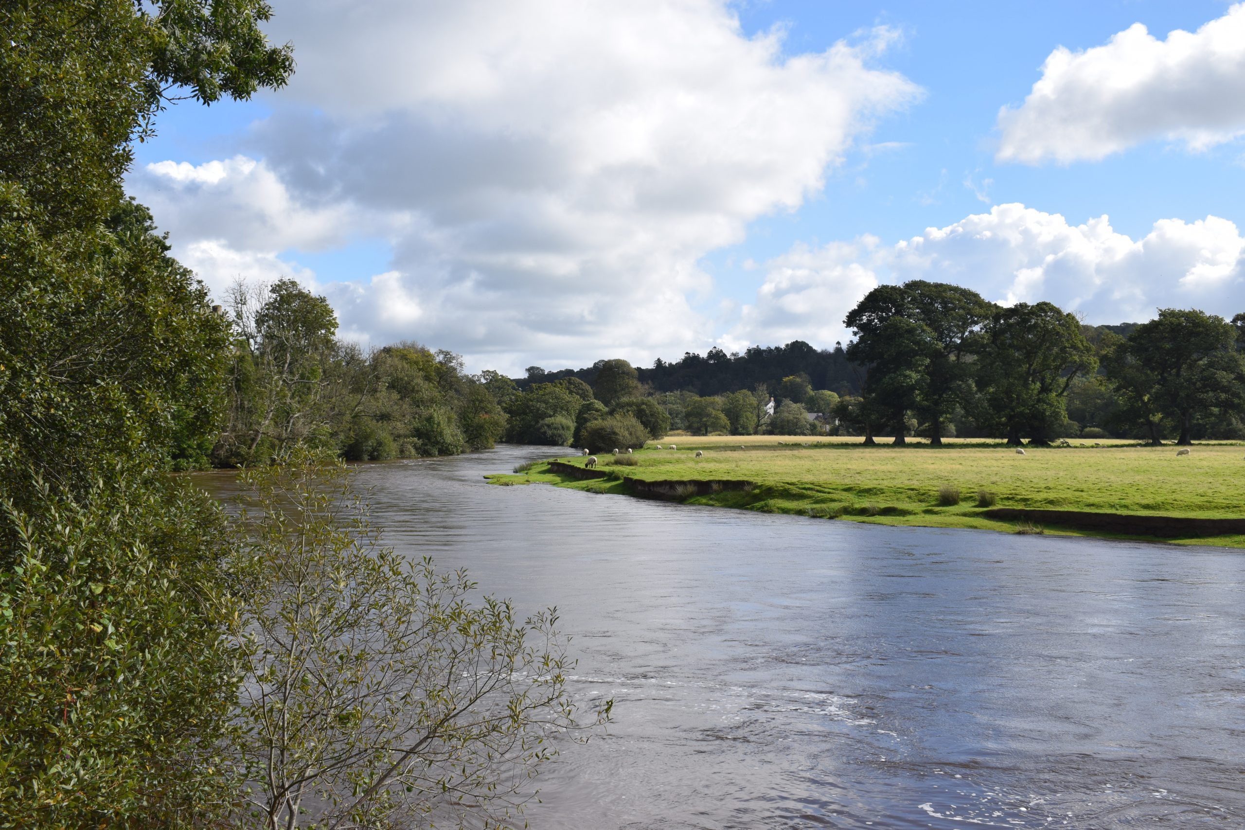 River Floodplain within Newcastle Emlyn