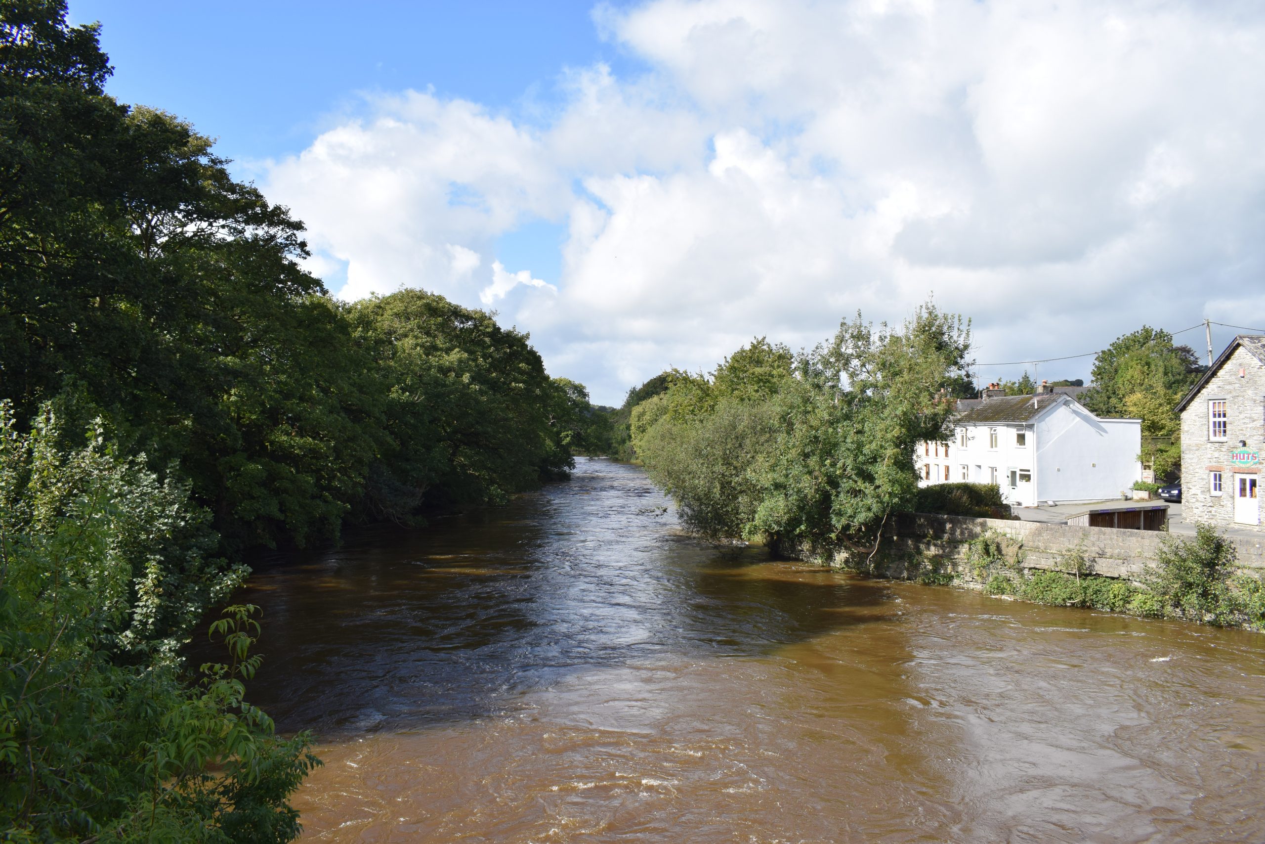 View of River Corridor from Bridge