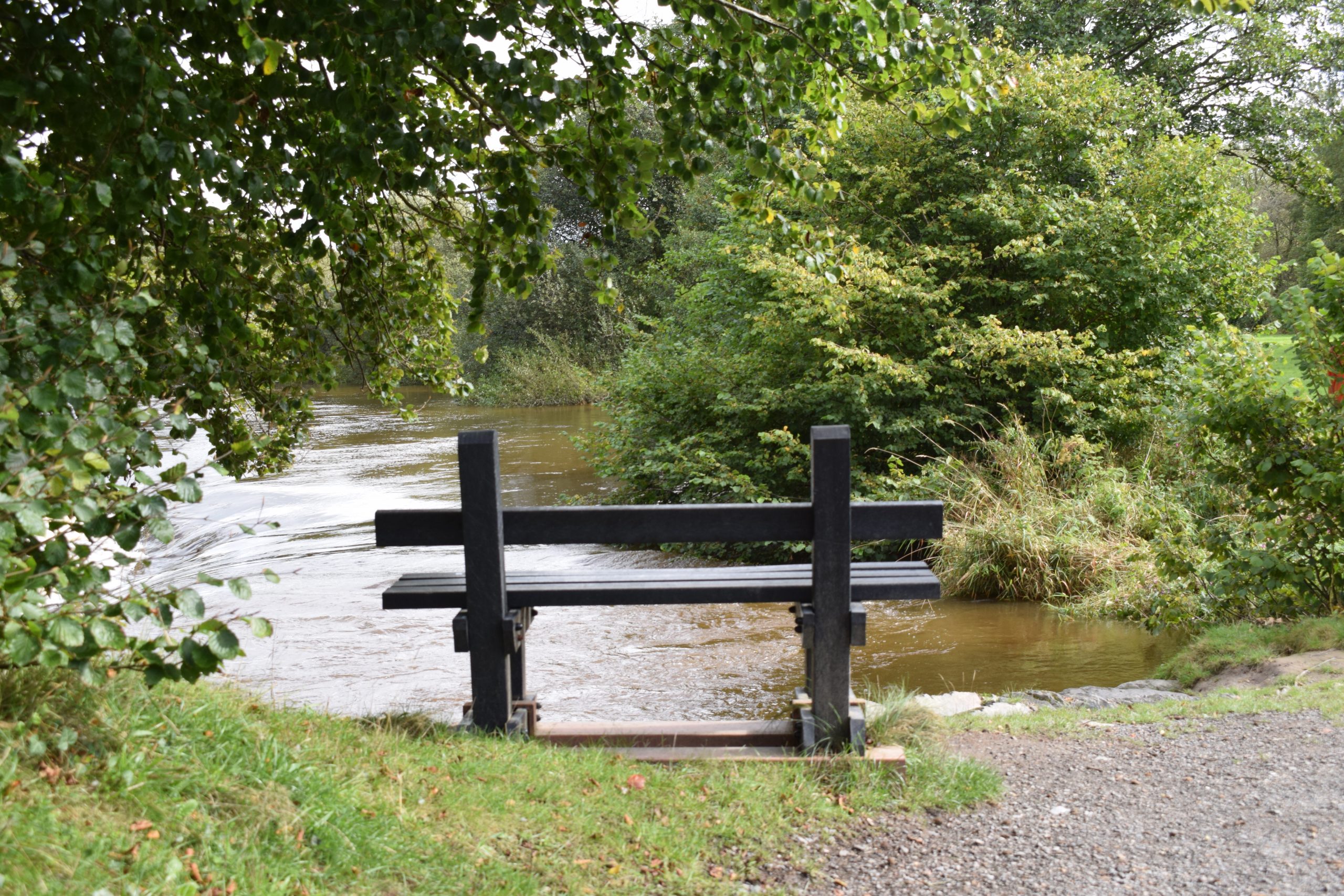 Bench overlooking River Towy