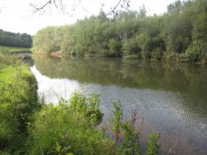 The River after removal of Kentchurch Weir