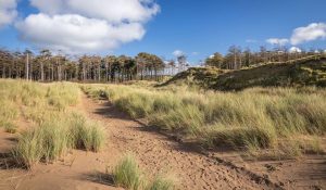 The sand Dunes of Newborough (Anglesey)