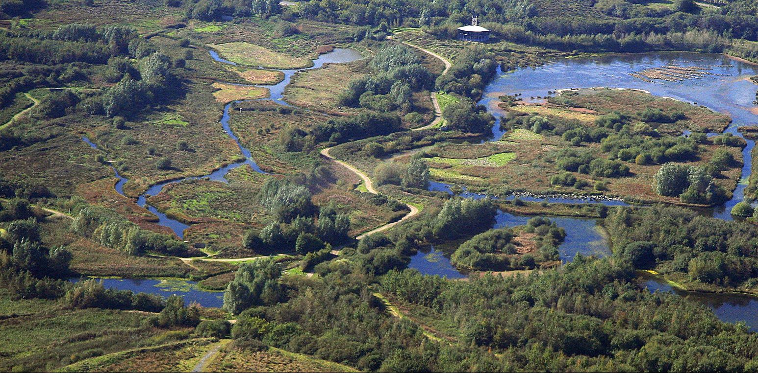 WWT Llanelli Wetland Centre