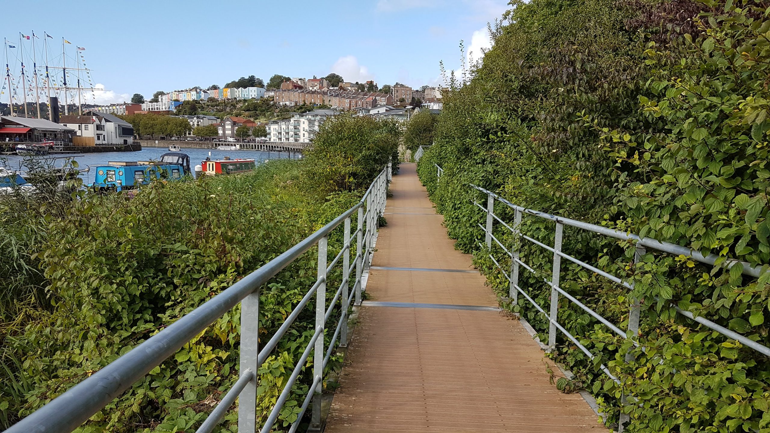 Wooden walkway through vegetation and reed beds either side. River and buildings on hill visible in background.