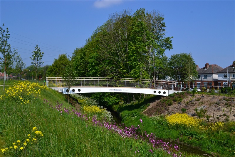 Pedestrian bridge over wildflowers and stream at Connswater Community Greenway