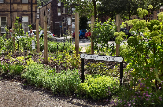 'Pollination Street' neighbourhood food growing initiative, Incredible Edibles Todmorden